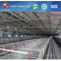 Broilers Chicken Cage with Automatic Poultry Equipment for Zimbabwe